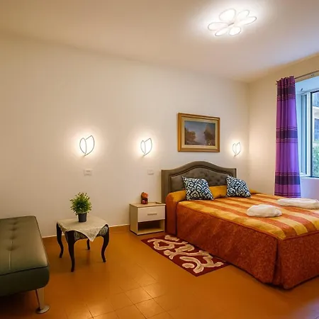 Nexus Palace Apartmán *