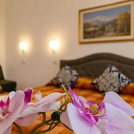 Apartmán Nexus Palace *